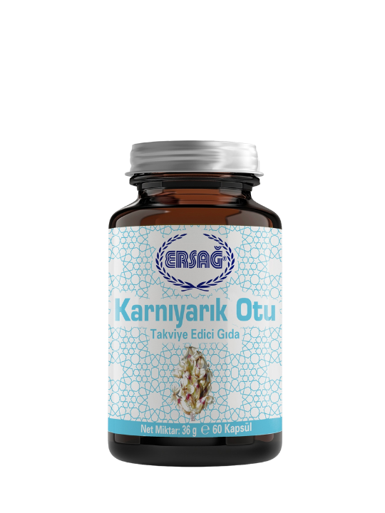 APARATLI BULAŞIK SIVISI 1000 ML